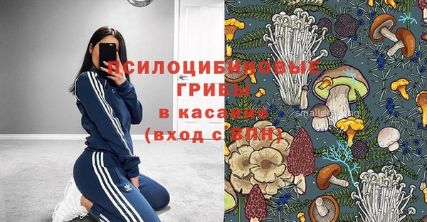 бошки Алексеевка