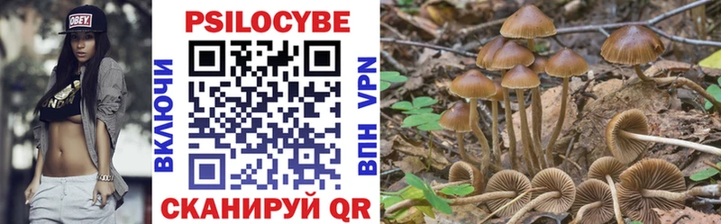 Галлюциногенные грибы Psilocybine cubensis где купить наркотик Катайск